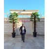 درخت پالم مصنوعی